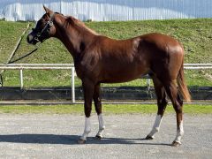 �����^�i�E�C���h��24 �ʐ^