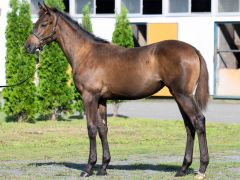 �S�b�h�t���A�[��25 �ʐ^