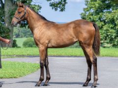 ���N�A�~��25 �ʐ^